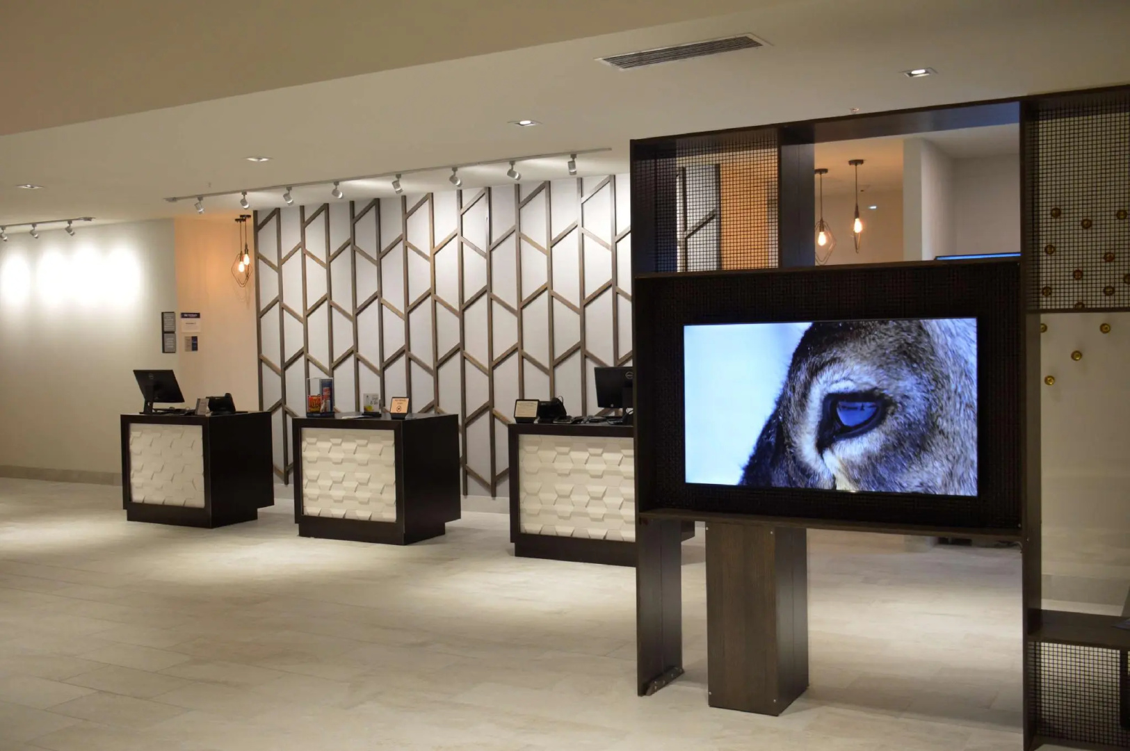 Foto - Wingate by Wyndham Austin North - Round Rock
