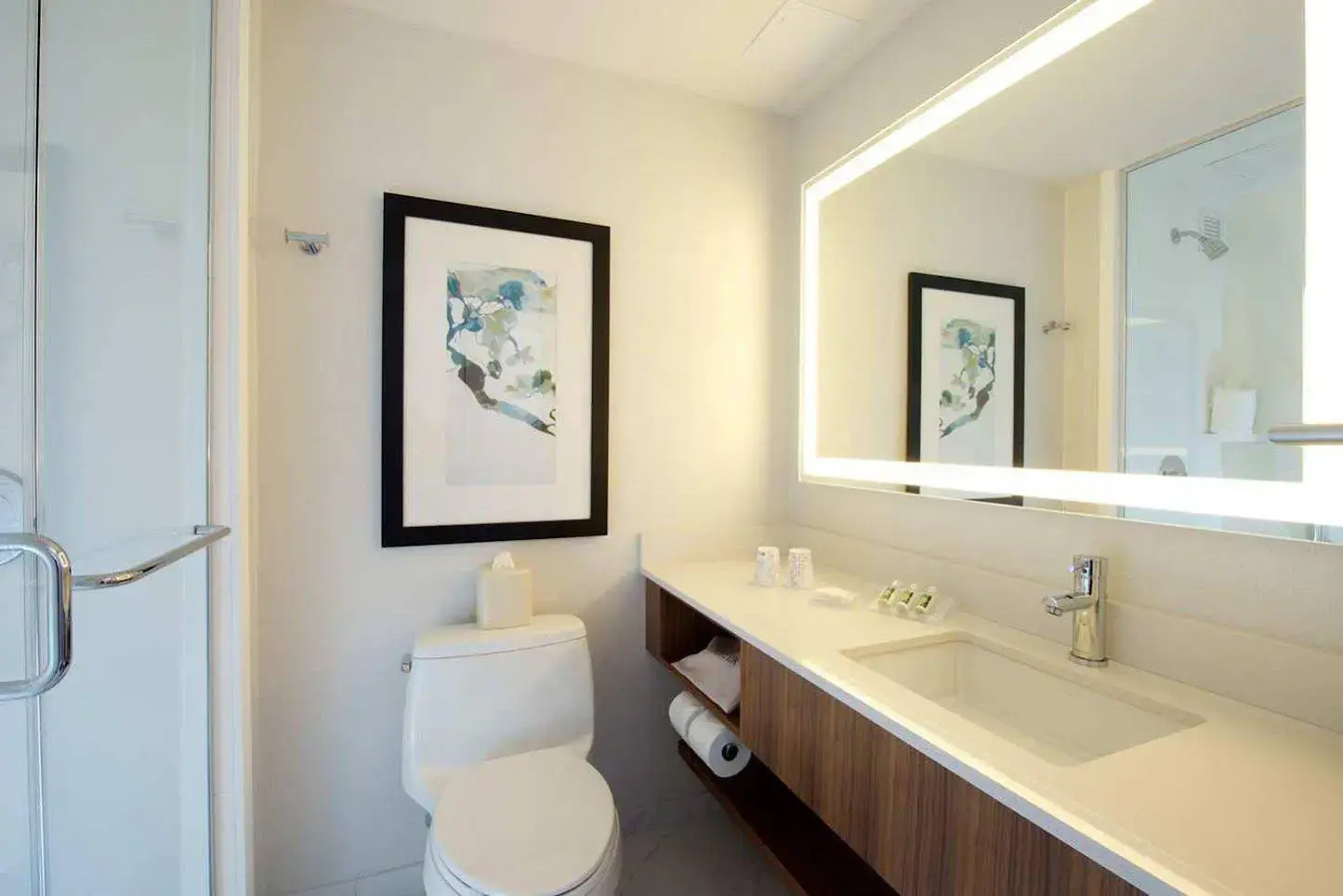 Foto - Hilton Garden Inn New York/Central Park South-Midtown West