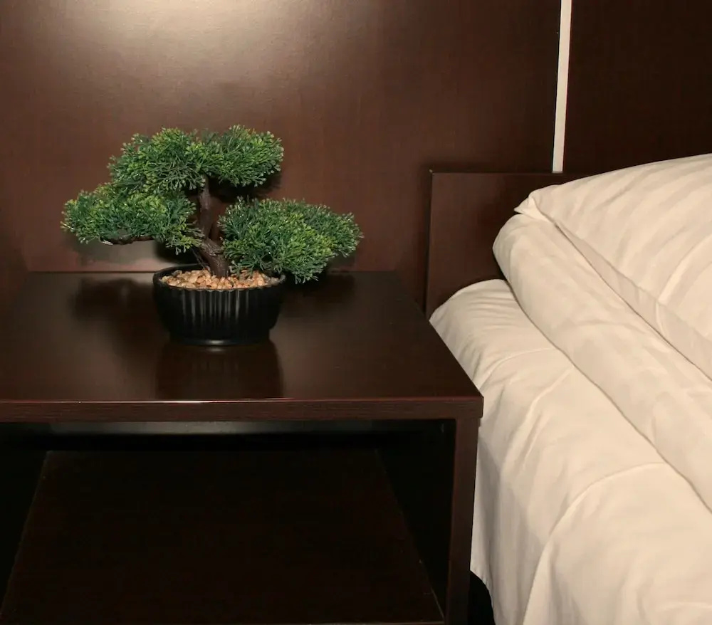 Photo - Hotel Junior 2