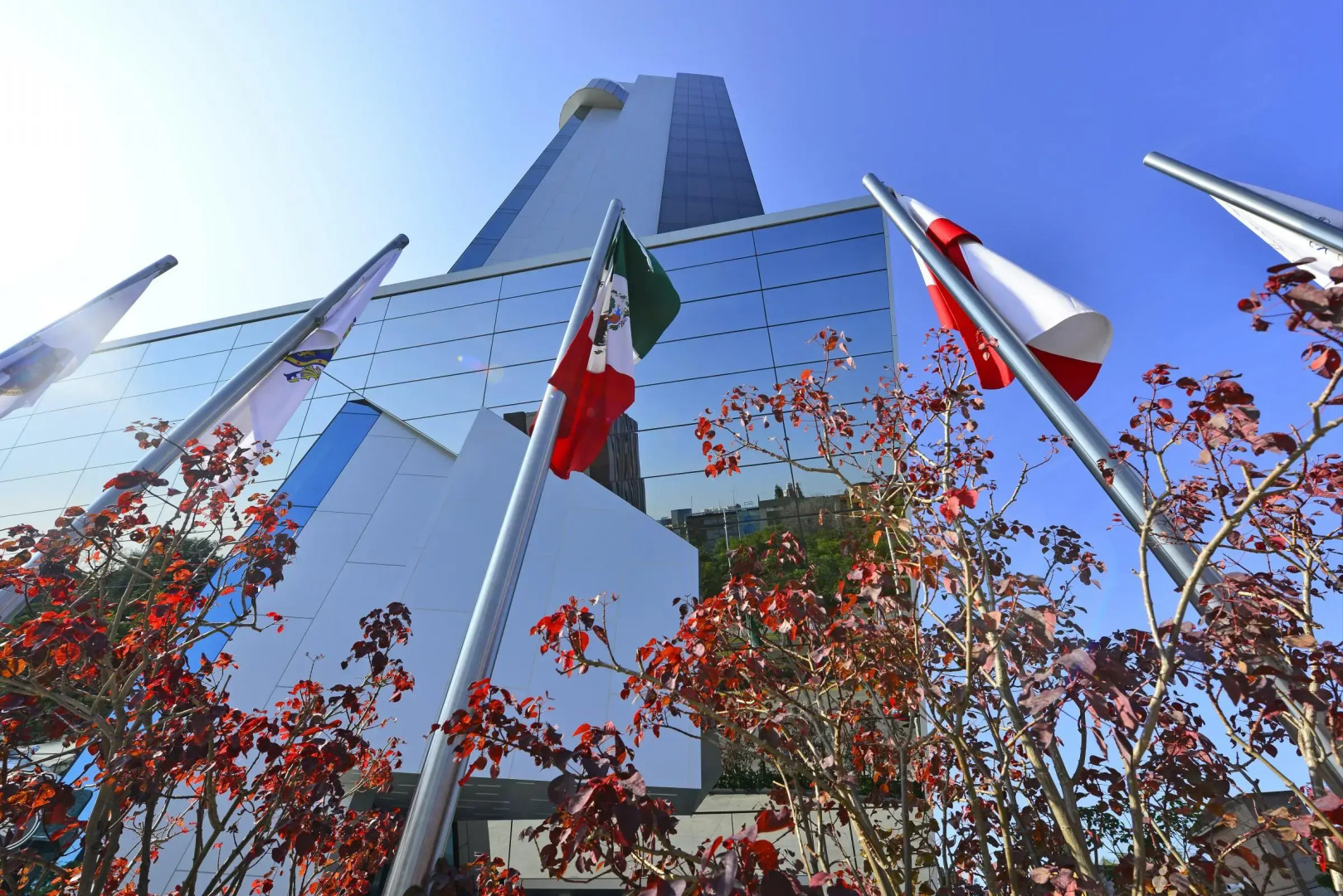 Photo - Baruk Guadalajara Hotel de Autor