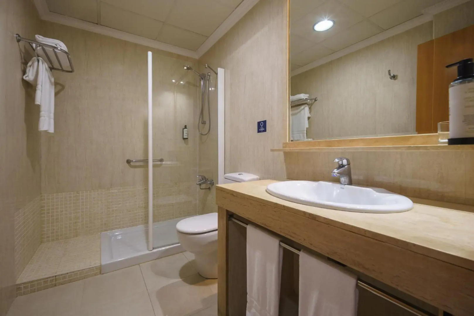 Foto - Crisol Almería