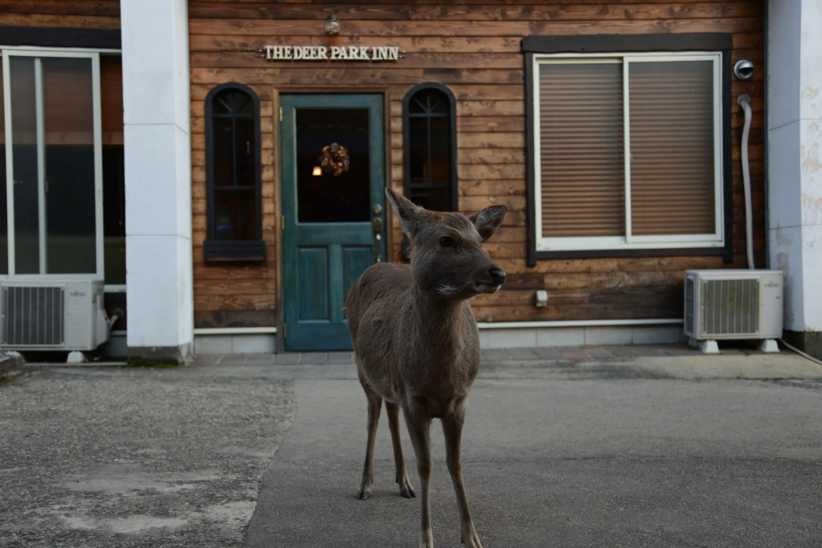 Foto - The Deer Park Inn