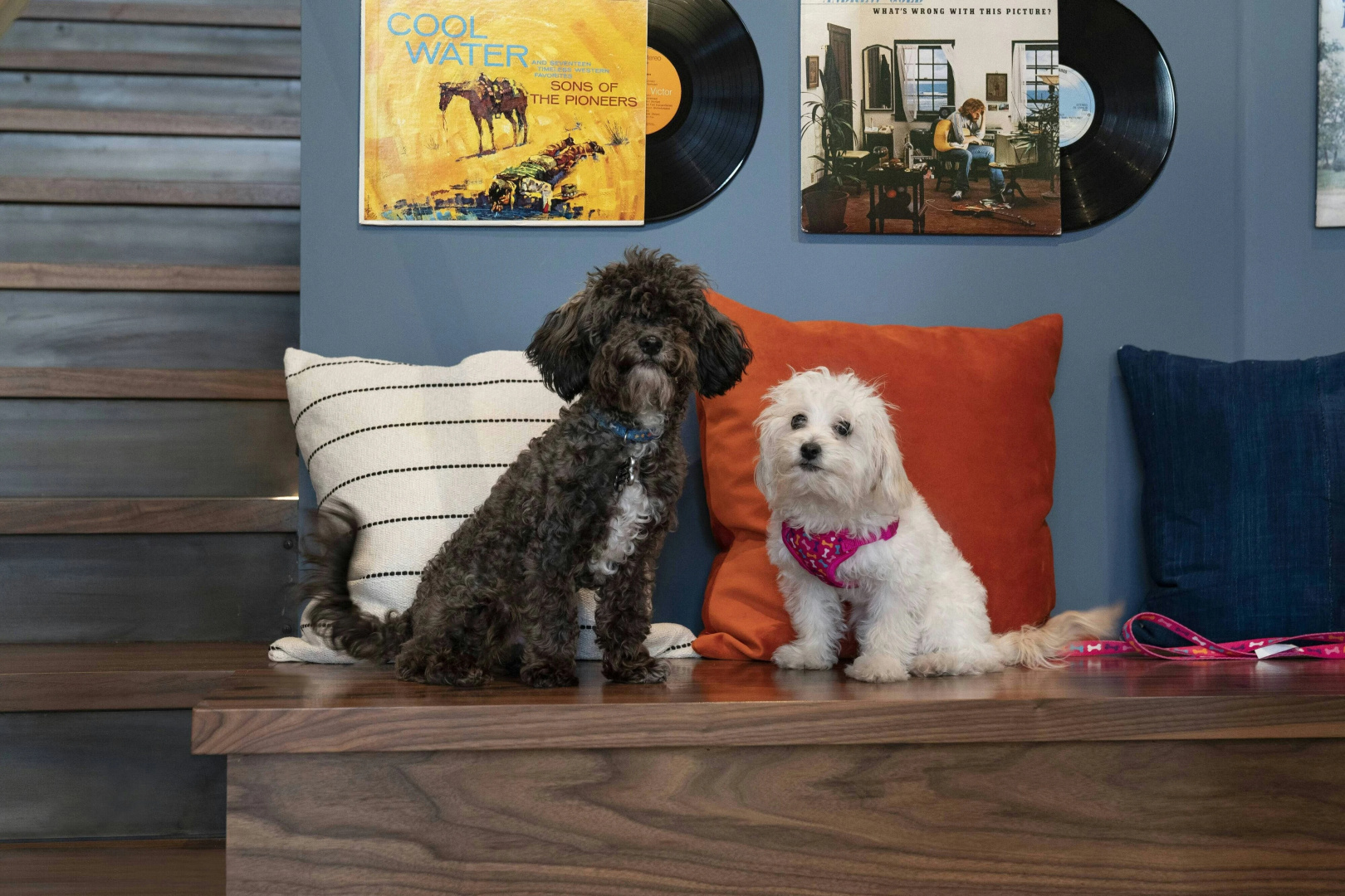 Photo - Moxy Nashville Vanderbilt Area