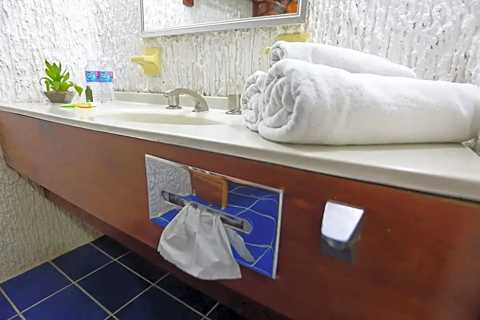 Photo - Hotel Plaza Palmas