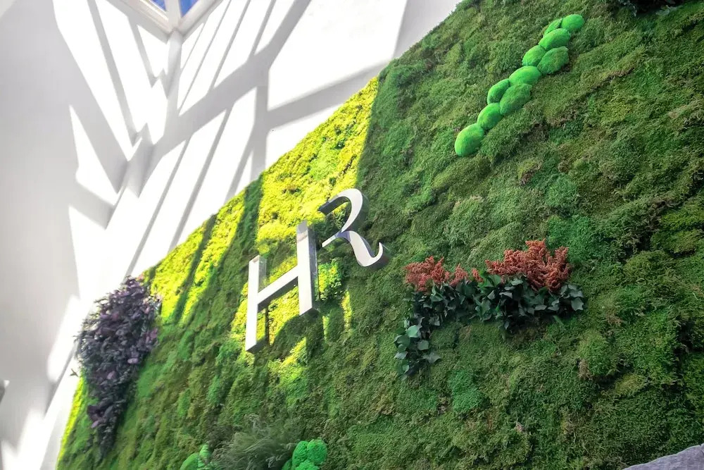 Foto - Real Maqueda - Málaga