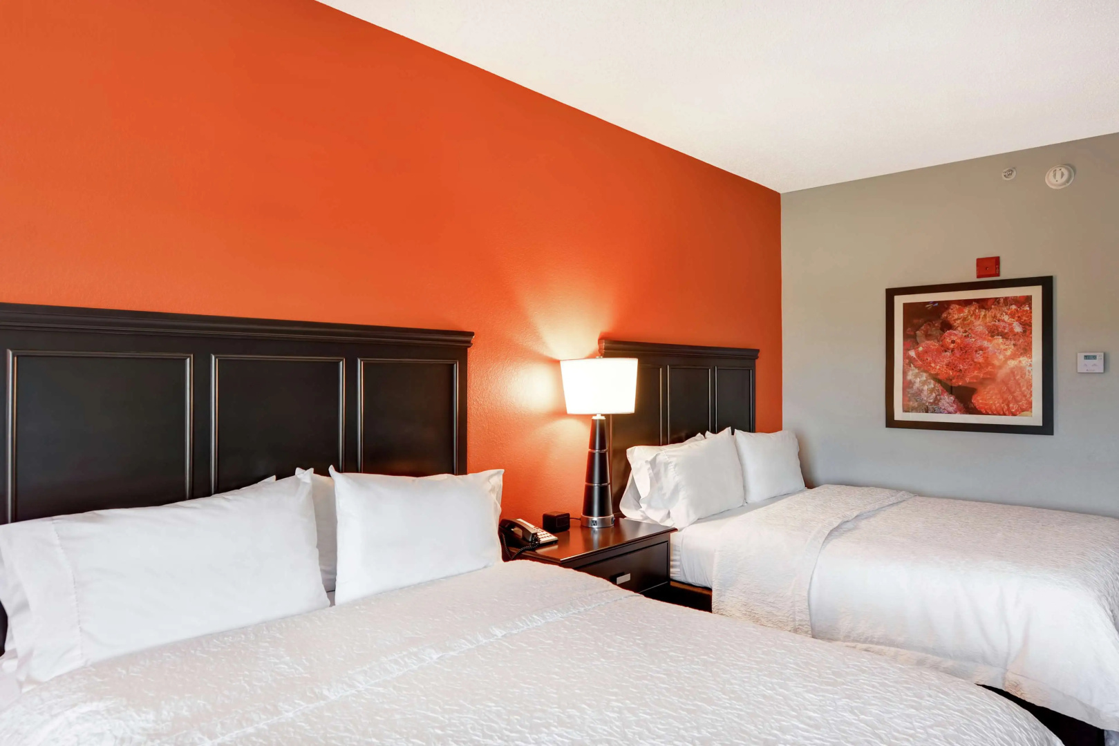 Photo - Hampton Inn West Palm Beach Florida Turnpike