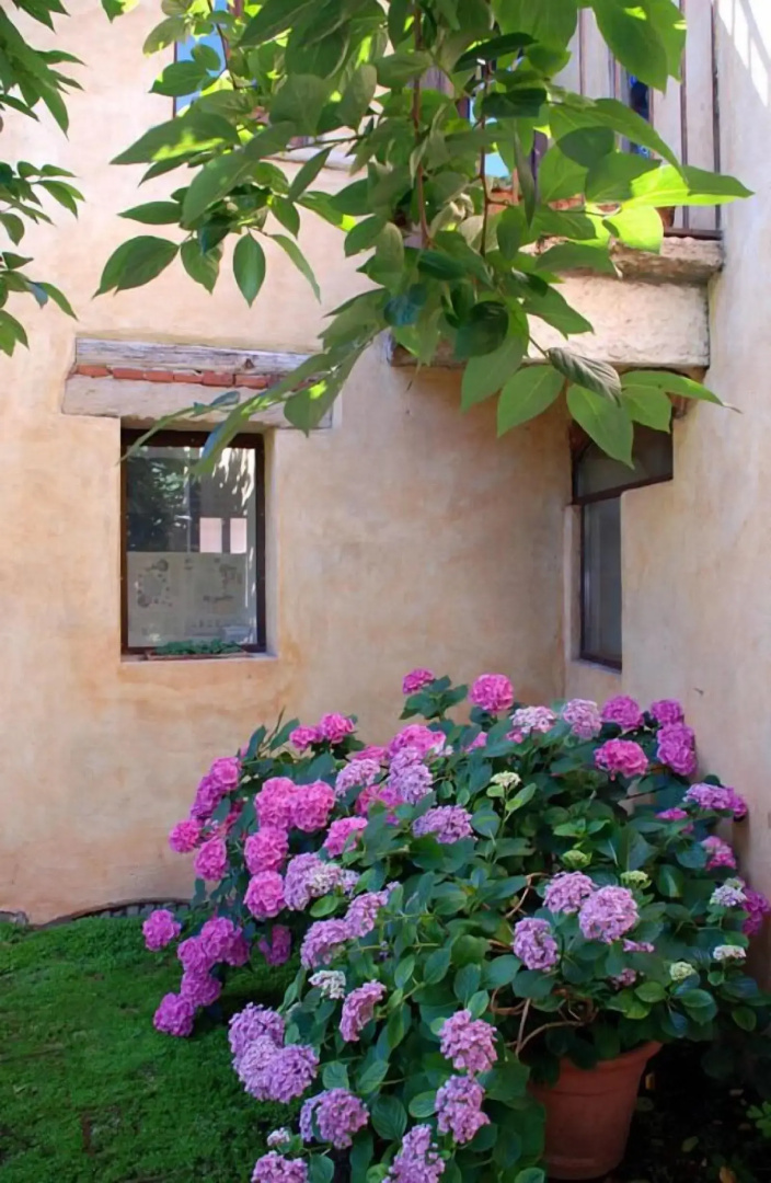 Foto - Il Relais dell'Abbazia