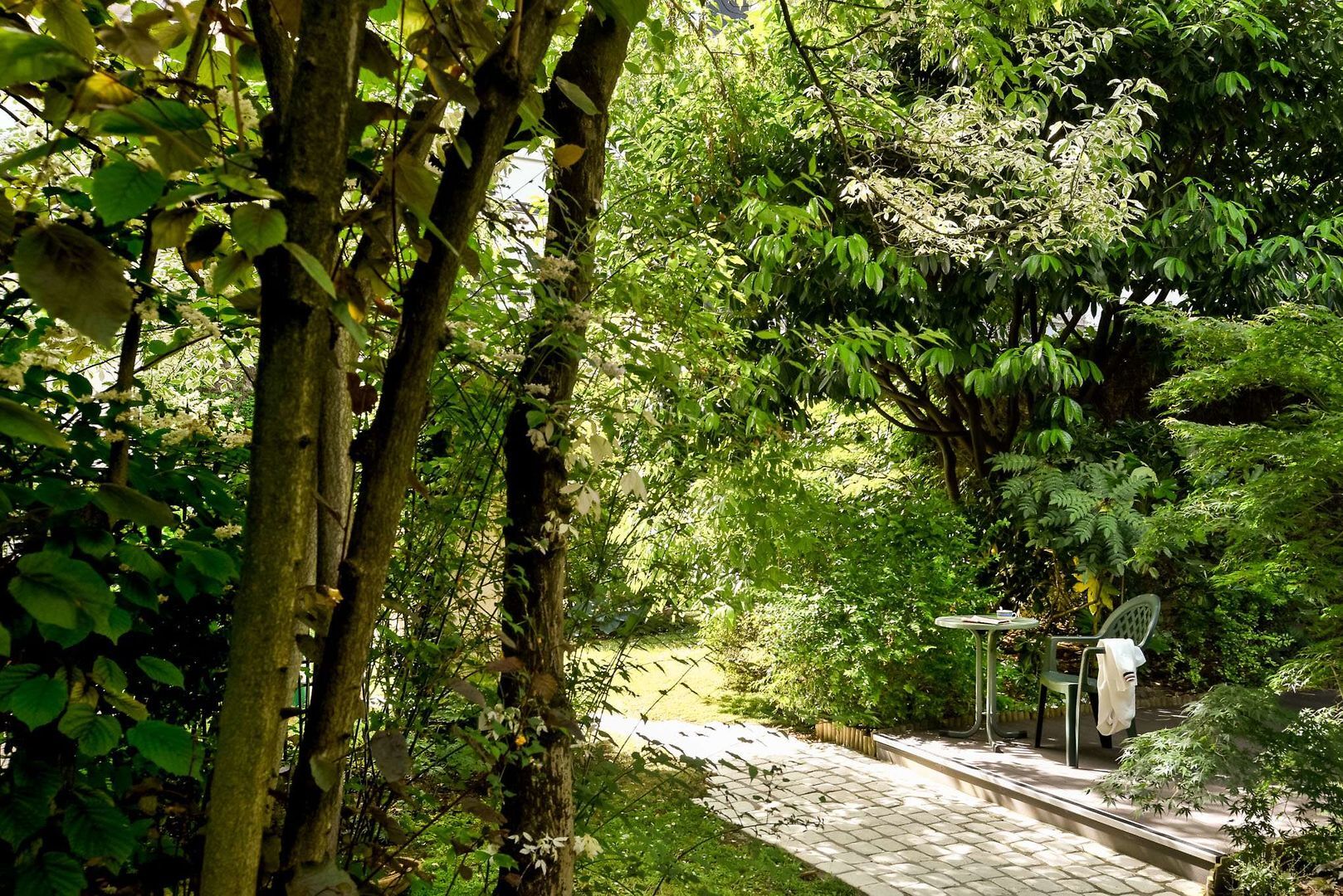 Foto - Abaca Messidor by Happyculture