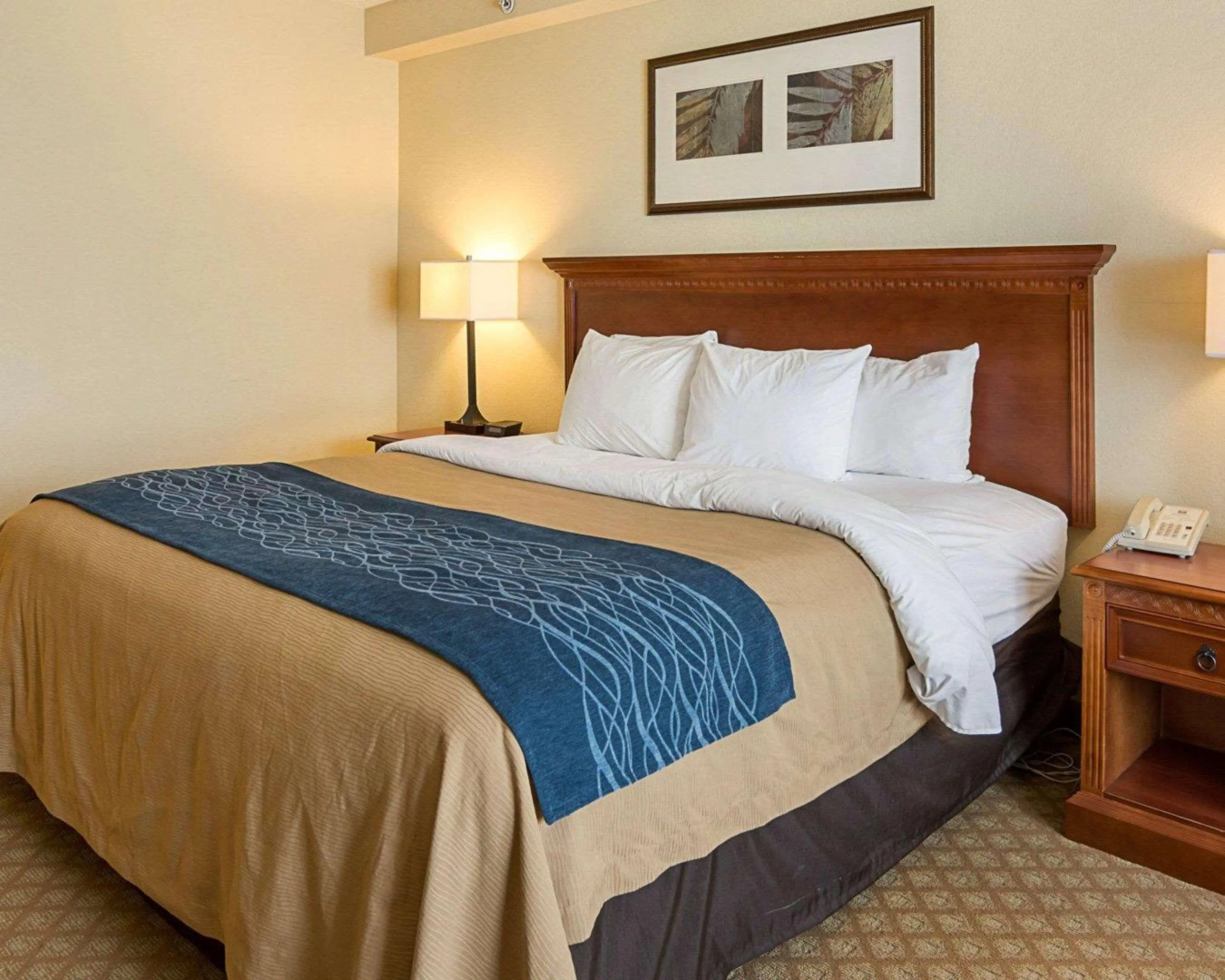 Foto - Comfort Inn & Suites Virginia Beach - Norfolk Airport