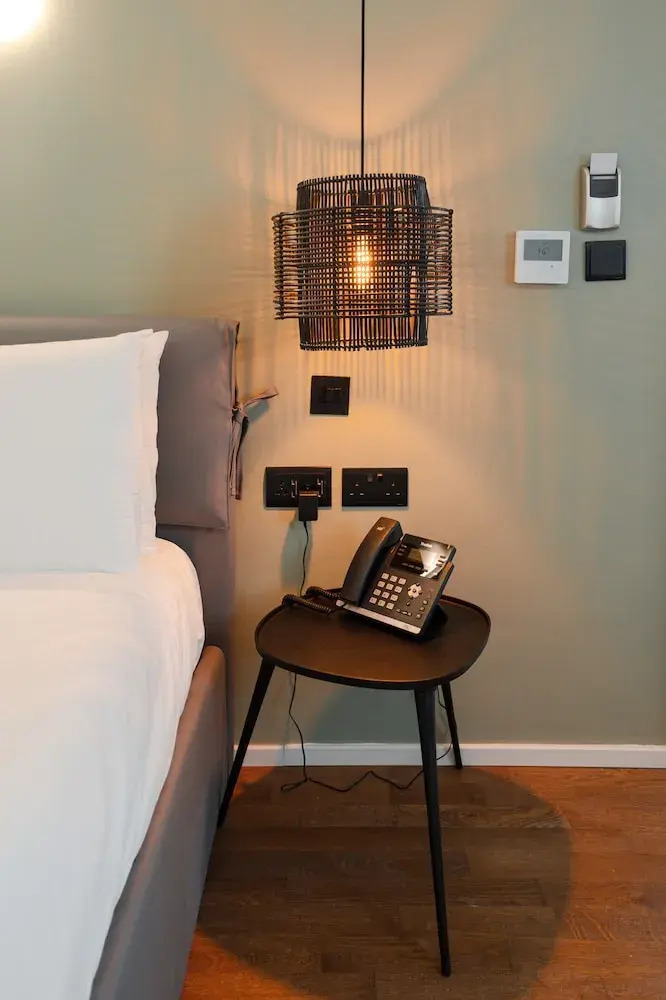 Foto - The Bear and Ween