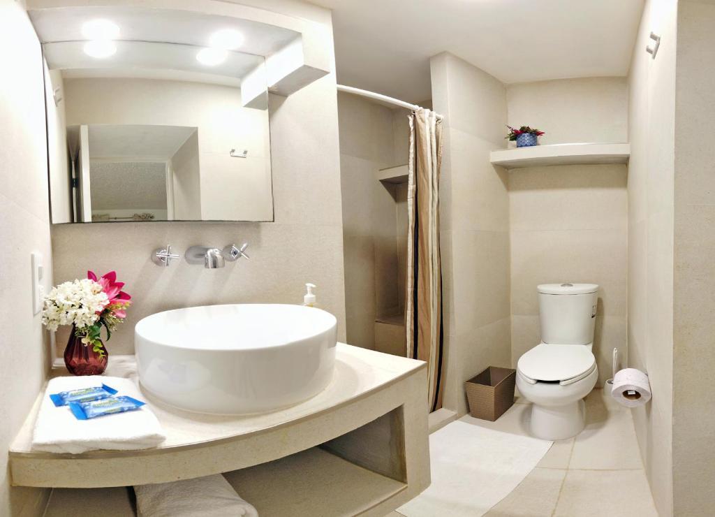 Foto - HominngBird Acapulco