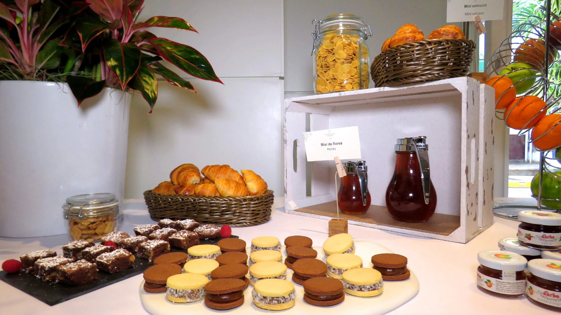 Photo - Central Hotel Panama Casco Viejo