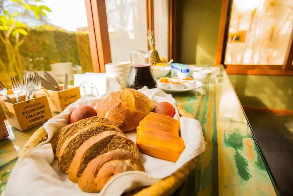 Foto - Pousada Tulipane Florianopolis