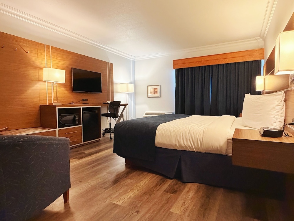Foto - Hotel L'Oie des neiges