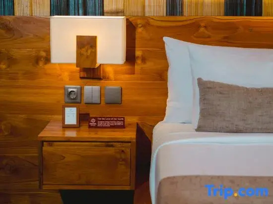 Foto - Emana Bambooscape