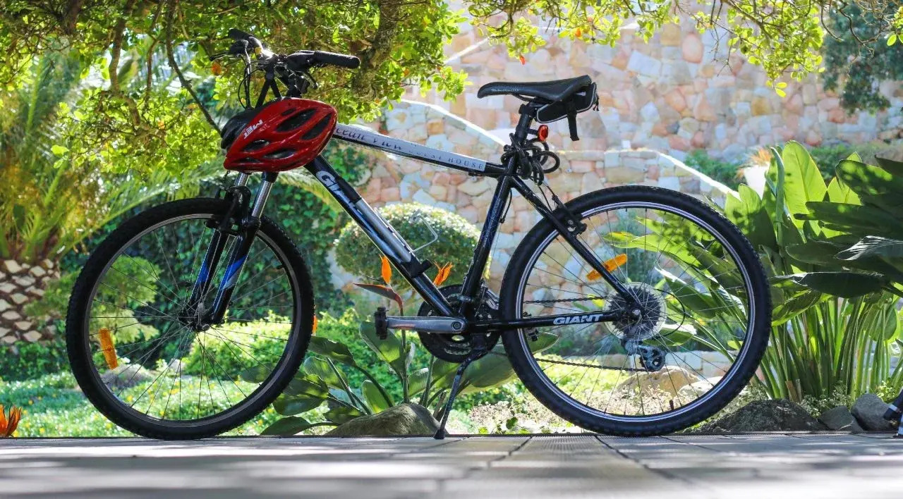 Foto - Ocean View House