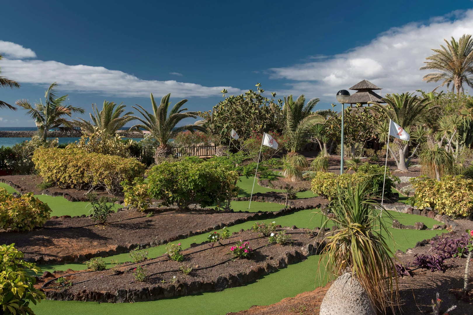 Foto - Sheraton Fuerteventura Beach, Golf & Spa Resort