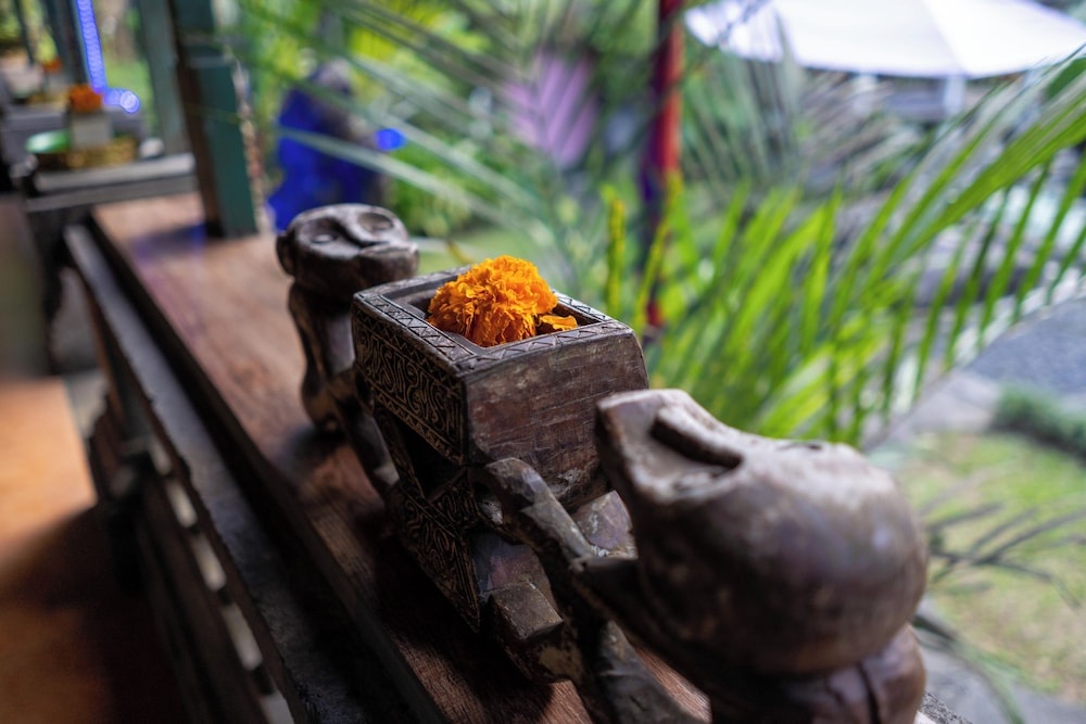 Foto - Taluh Bebek Ubud Private Villas