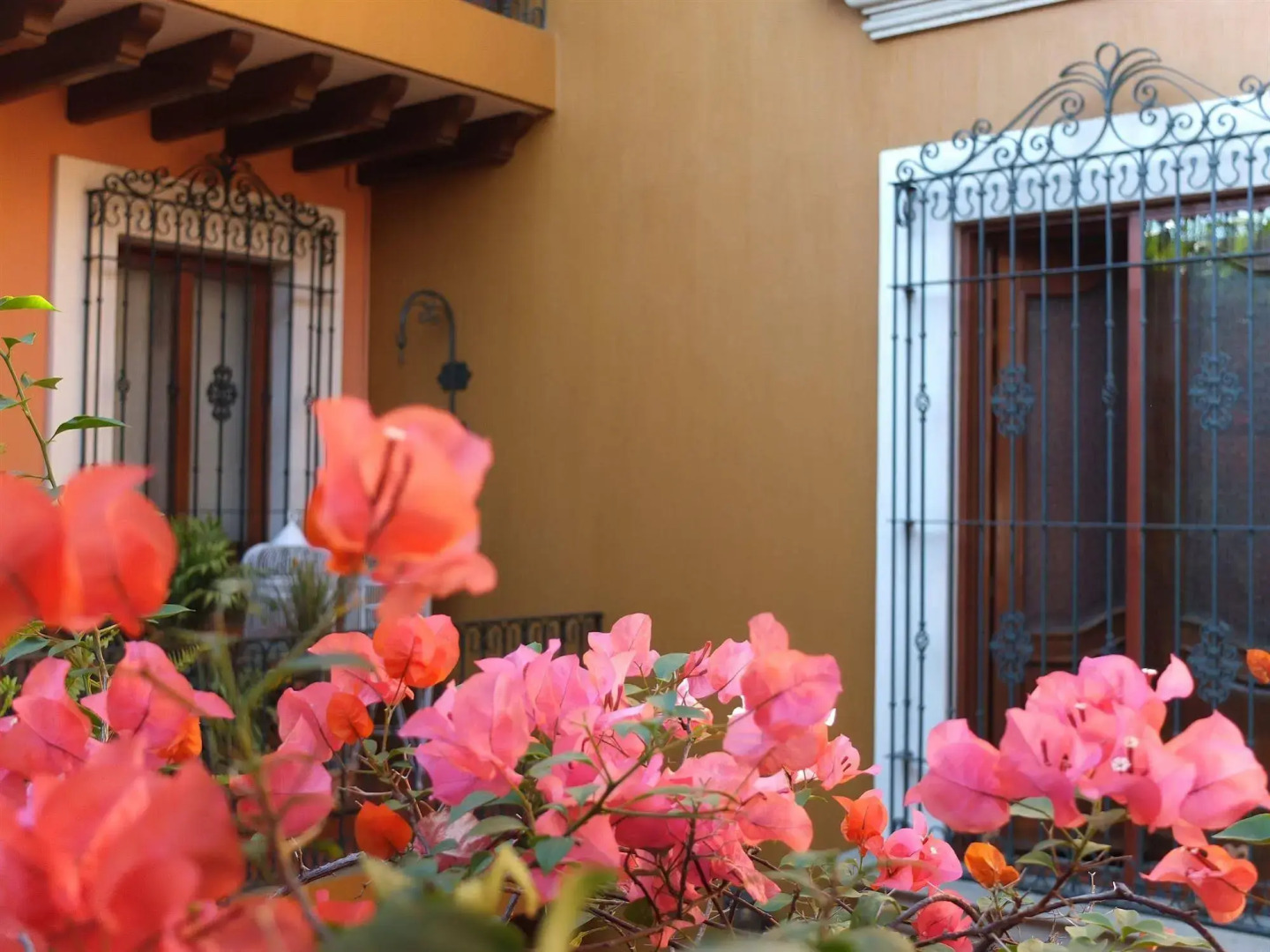 Foto - Hotel Boutique Parador San Miguel Oaxaca
