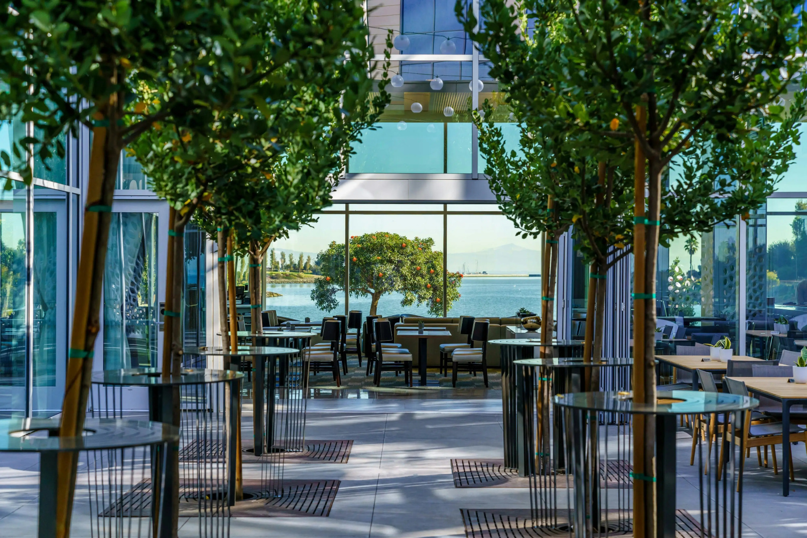 Foto - AC Hotel by Marriott San Francisco Airport Oyster Point/Waterfront