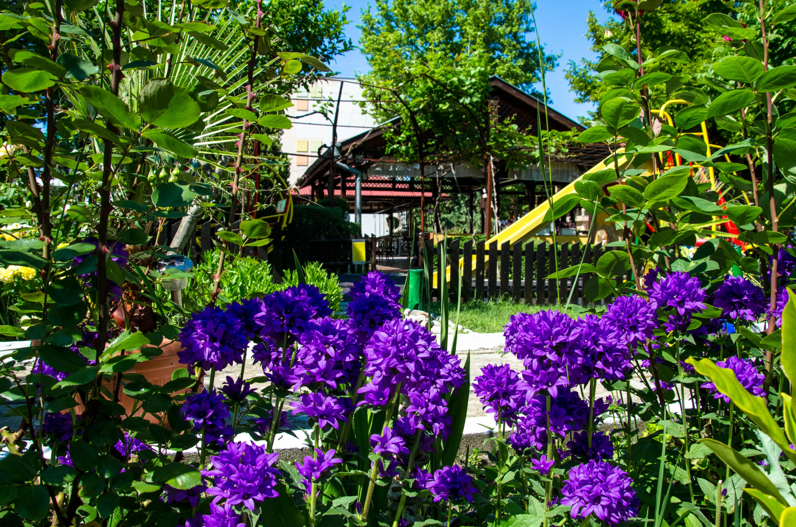 Photo - Hotel Trakia Garden