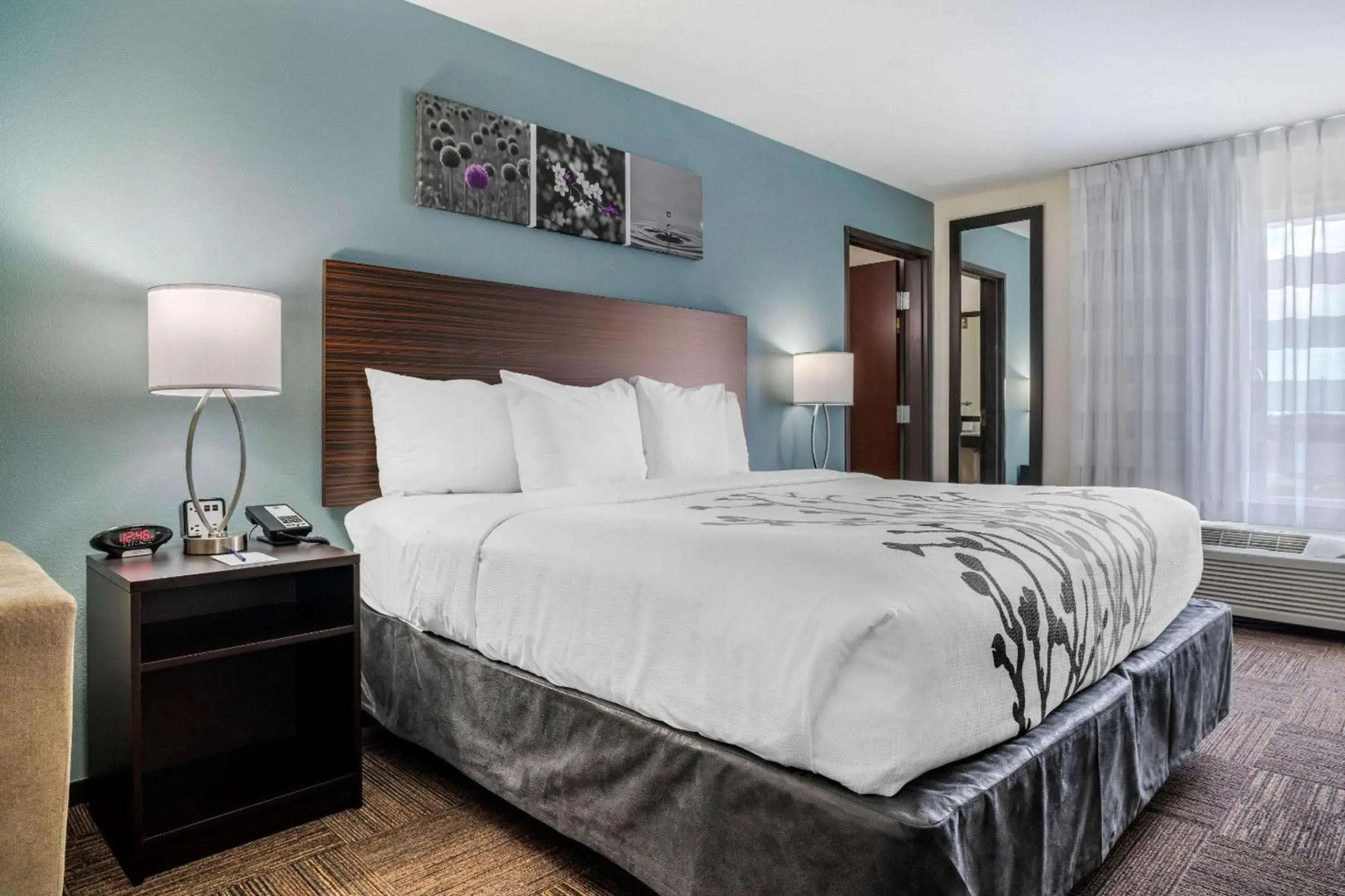 Foto - Sleep Inn & Suites near Westchase