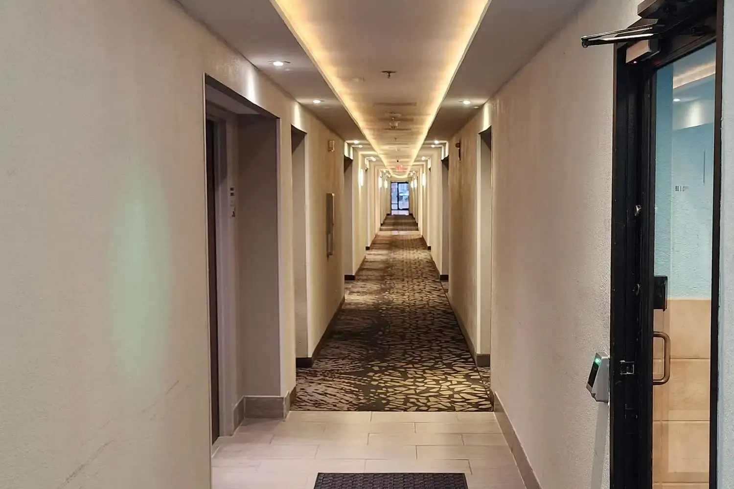 Foto - MainStay Suites Springfield IL