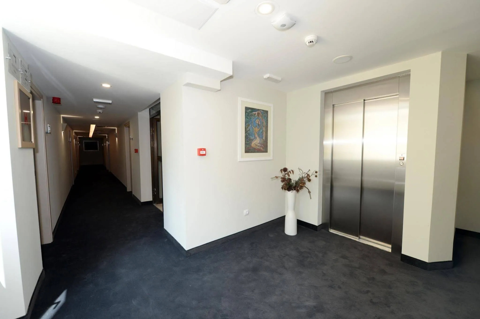 Photo - Hotel Alexandar II