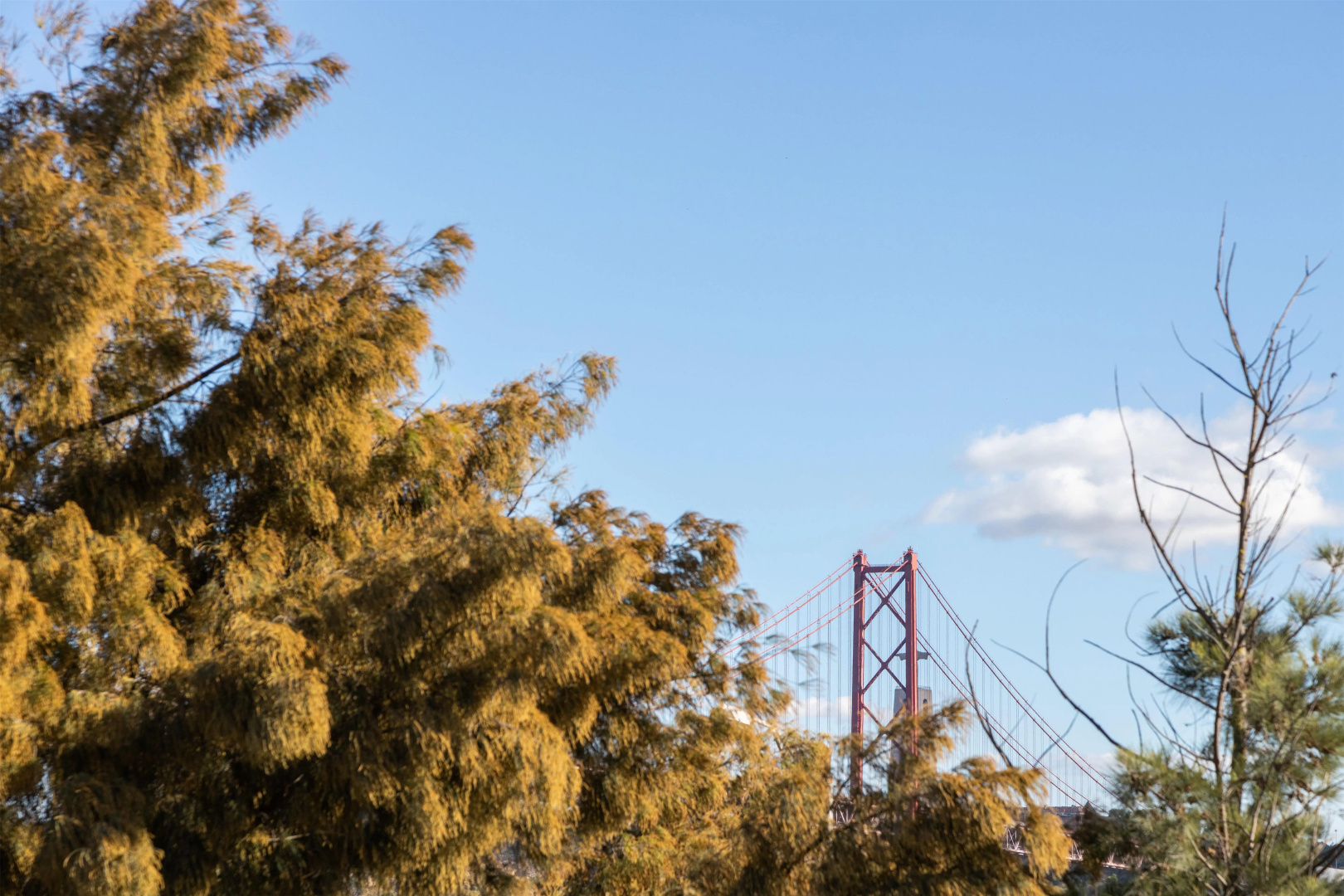 Photo - Hyatt Regency Lisbon