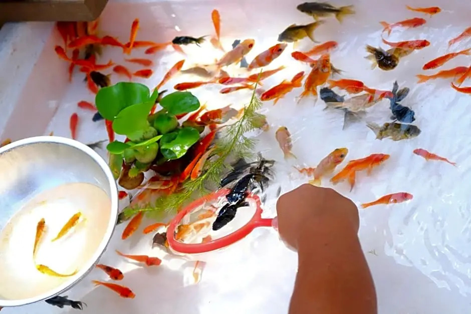 Foto - Stay SAKURA Tokyo ASAKUSA ART DECO HOTEL