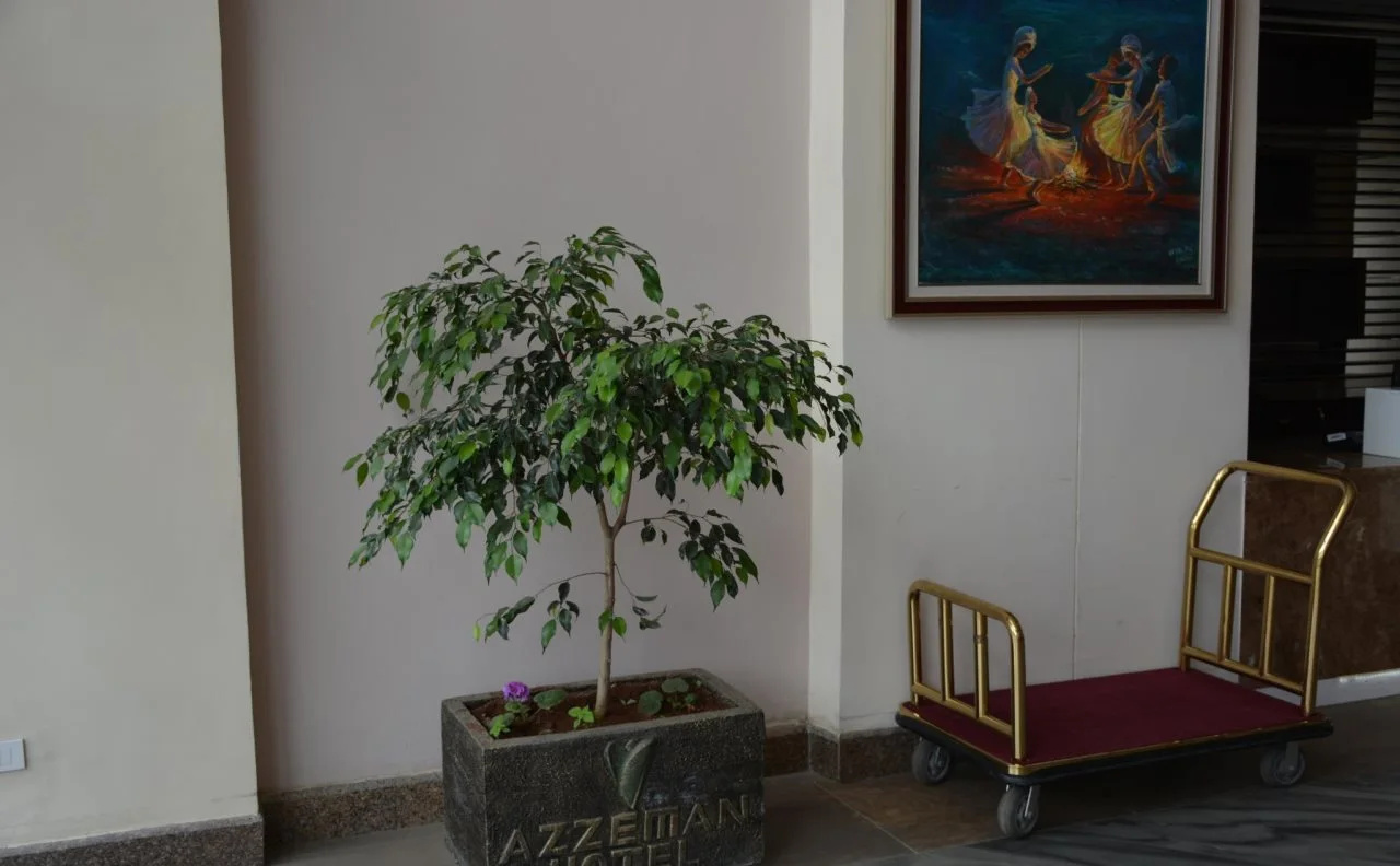 Photo - Azzeman Hotel