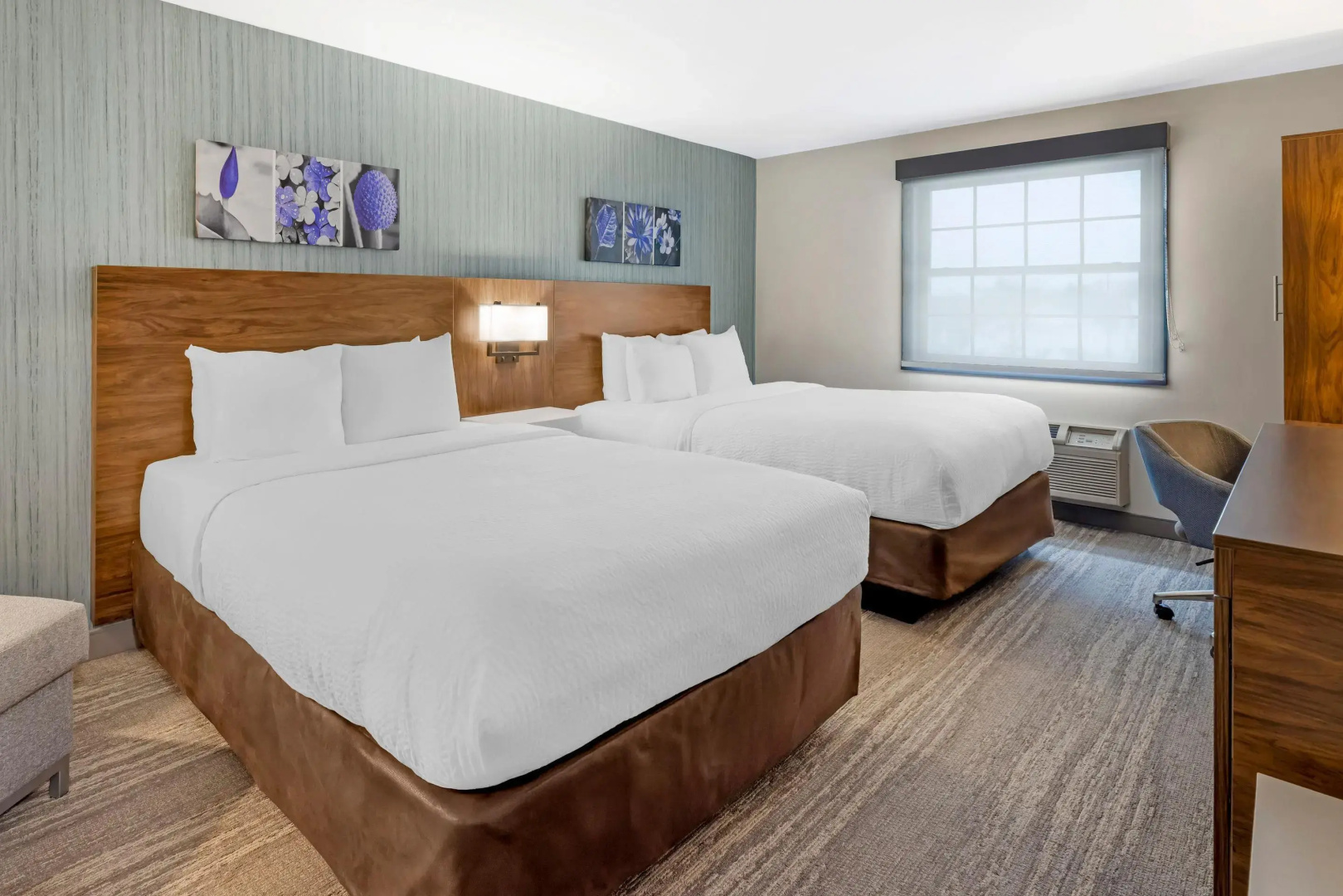 Photo - Sleep Inn Oakbrook Terrace - Chicago
