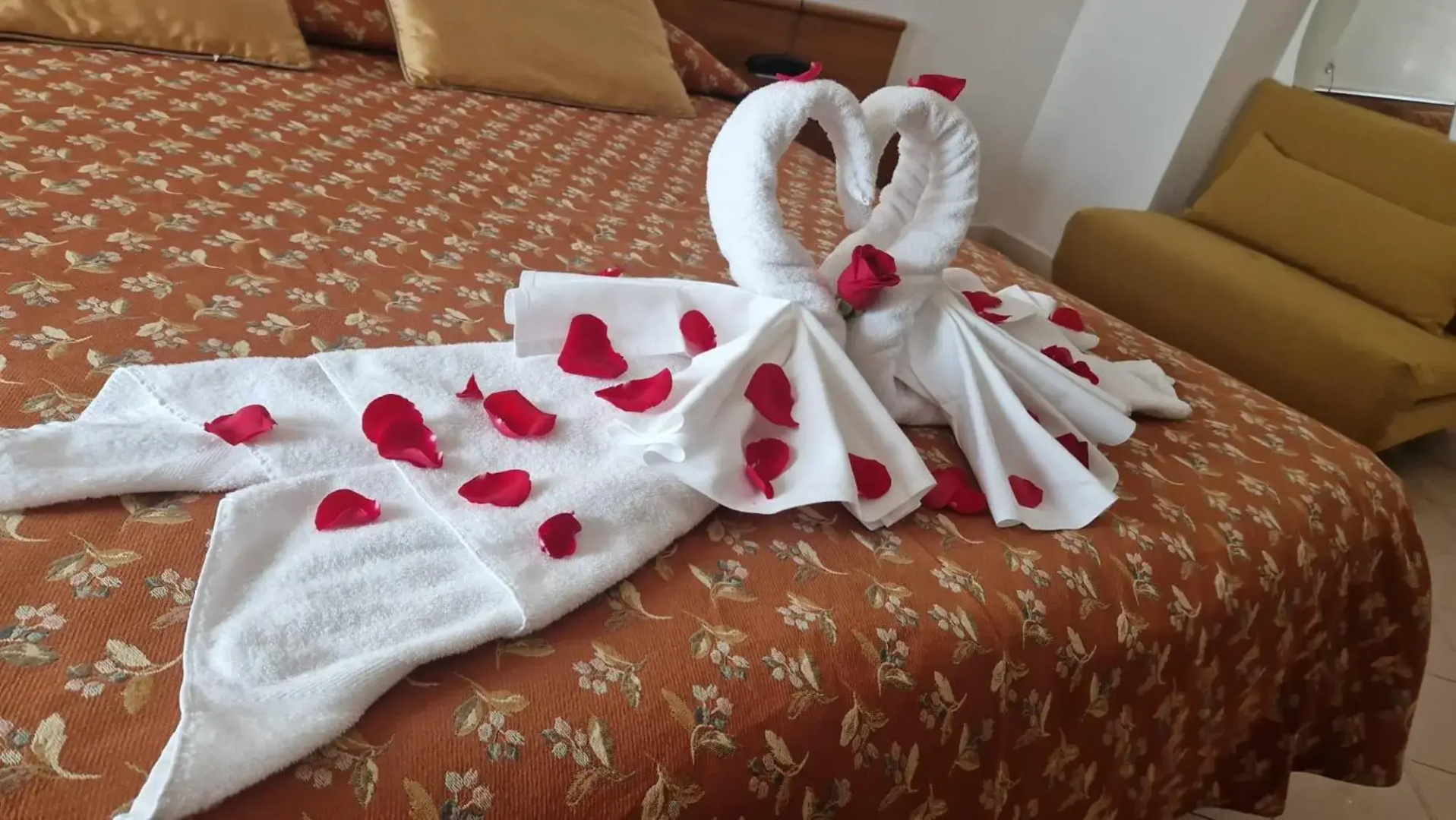 Photo - Hotel Minerva