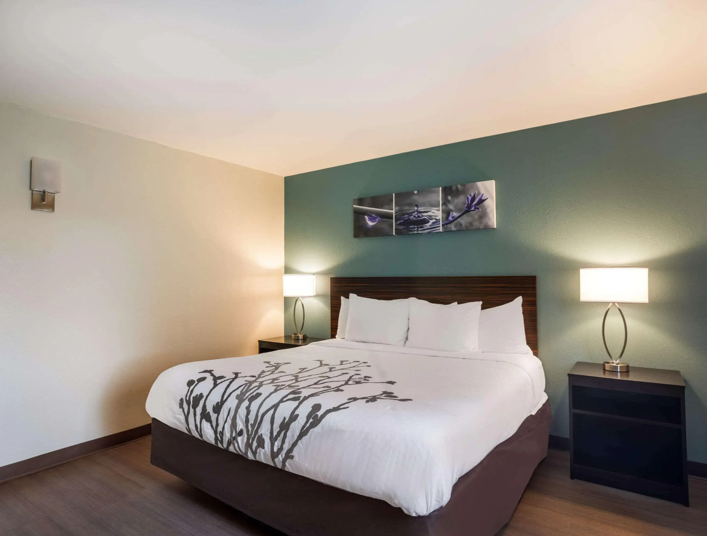 Foto - Sleep Inn Savannah Midtown