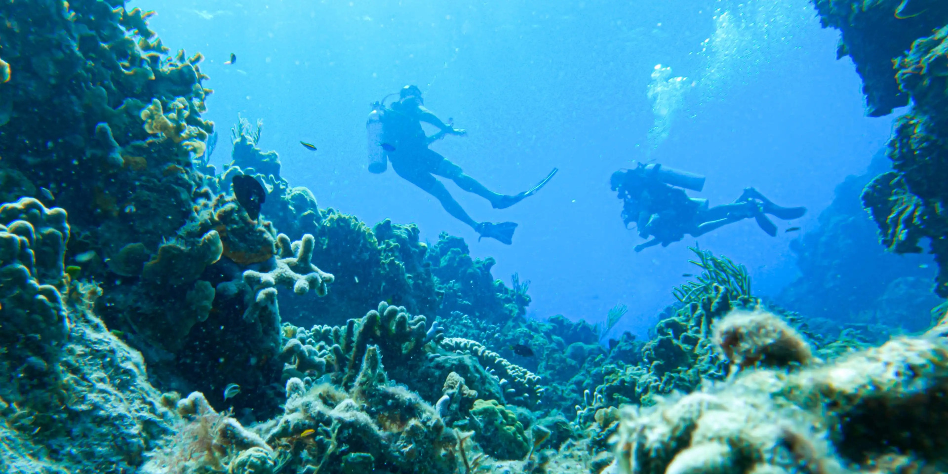 Photo - Occidental Cozumel - All Inclusive