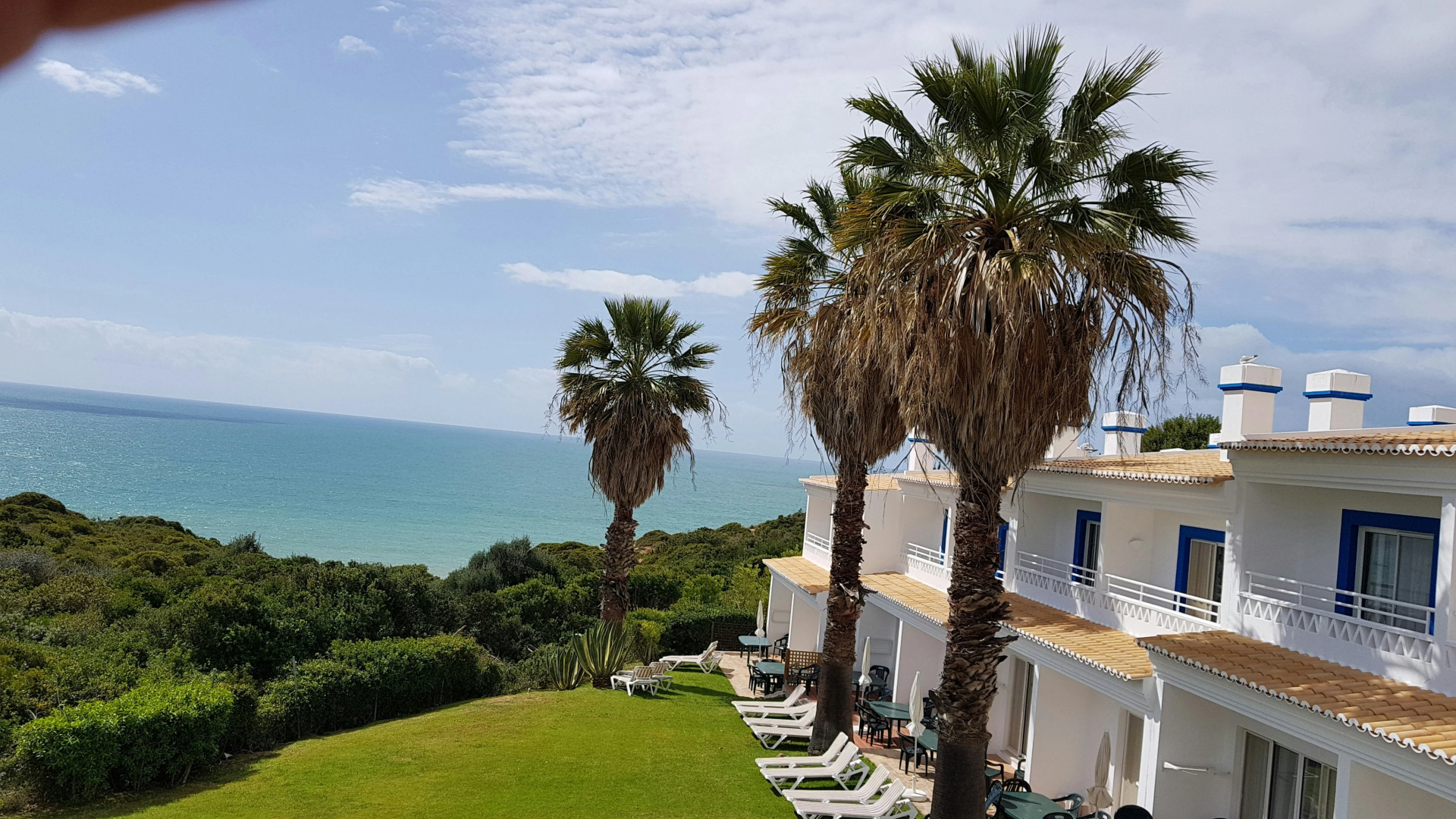Photo - Pestana Palm Gardens