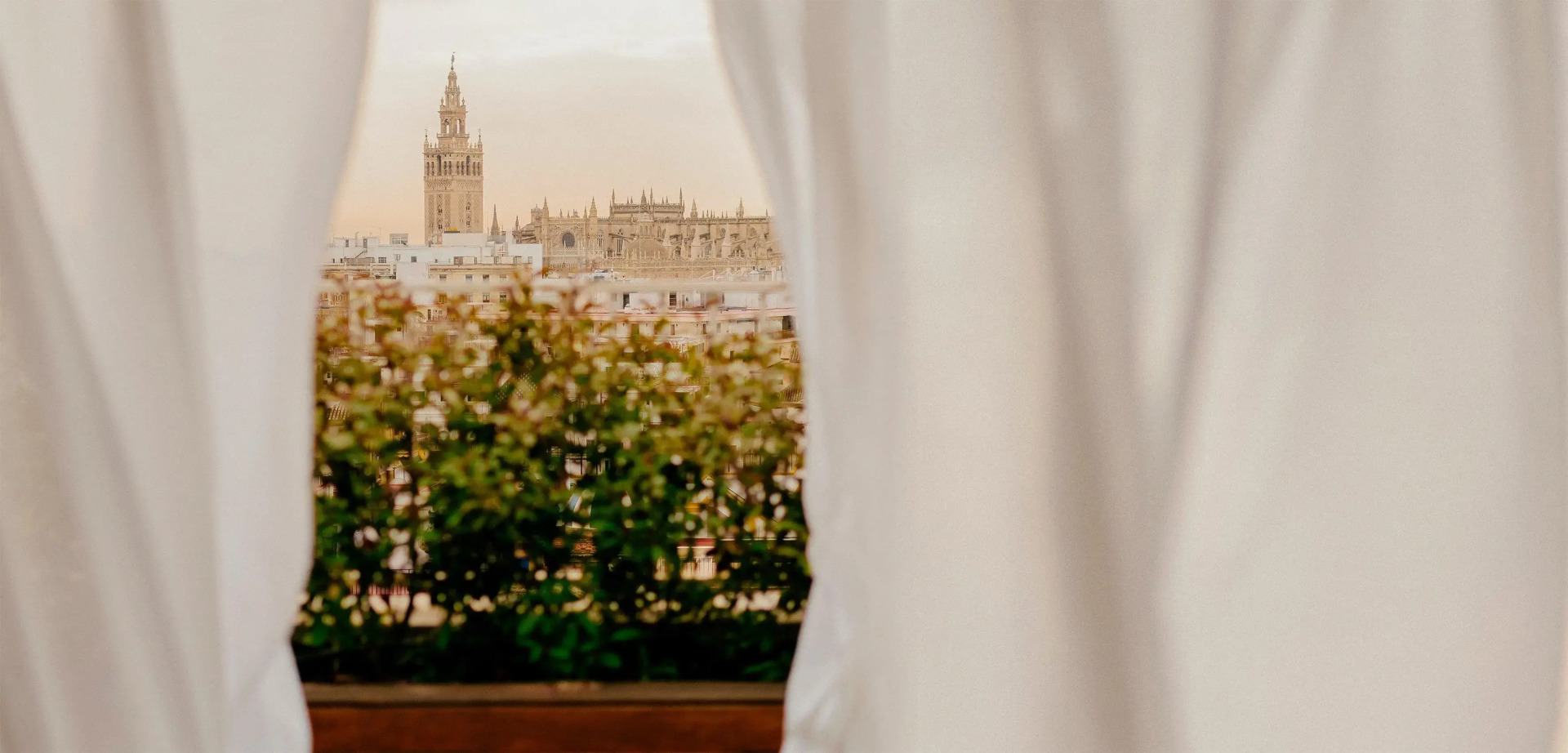 Photo - Hotel Colón Gran Meliá - The Leading Hotels of the World