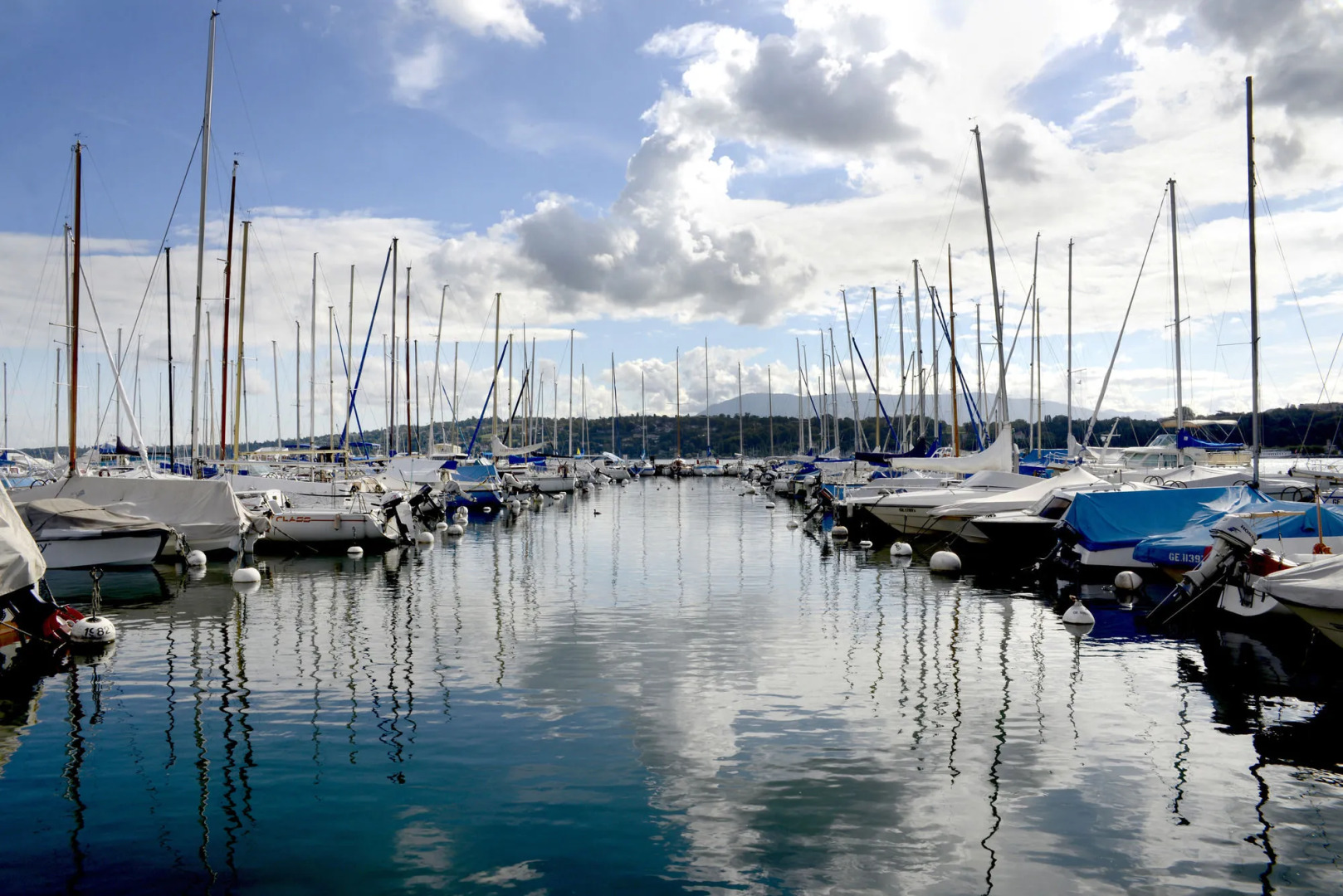 Photo - The New Midi