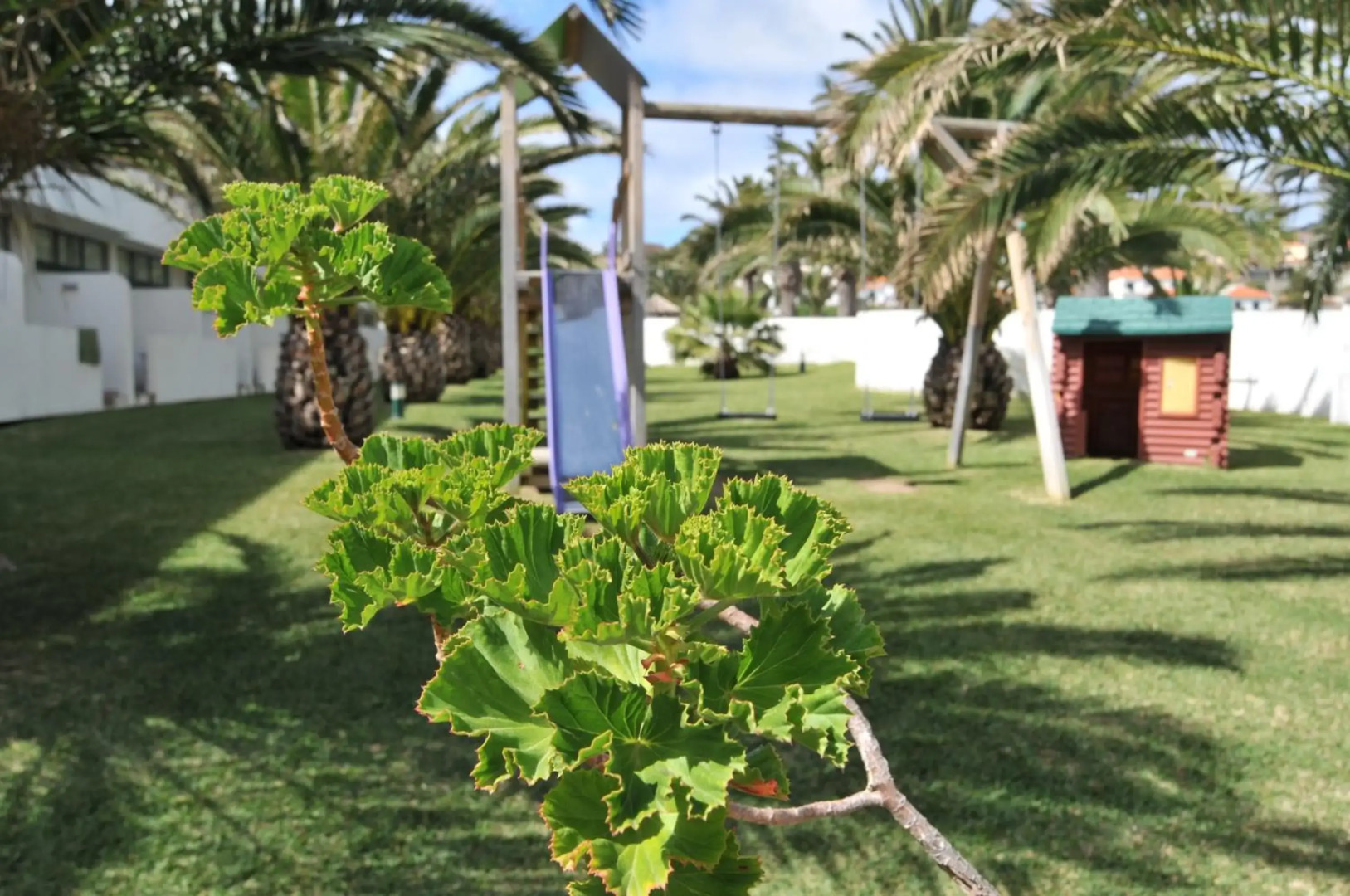 Photo - Hotel Torre Praia