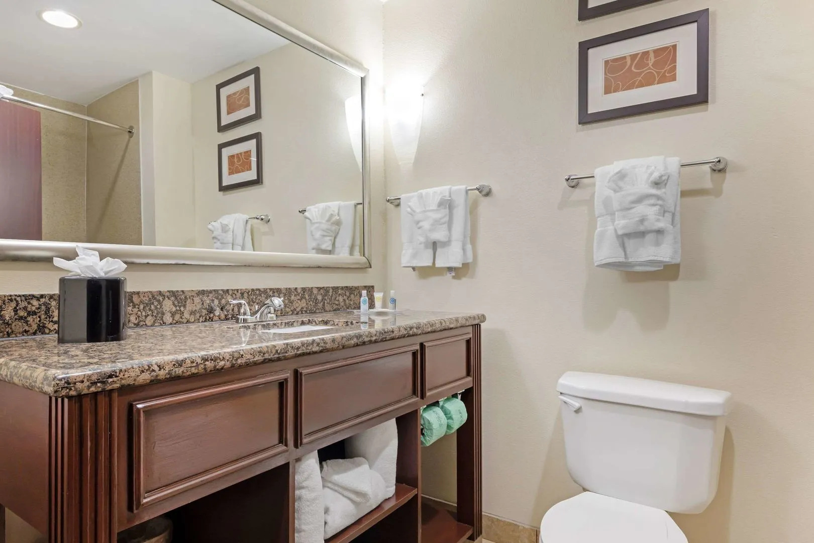 Photo - Comfort Suites West Dallas - Cockrell Hill