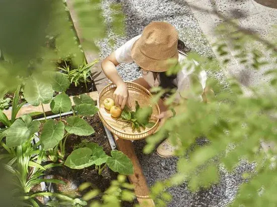 Foto - Express by M Village Nam Ky Khoi Nghia, a brand of  Modern Village Lifestyle