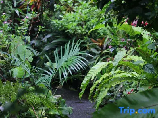 Foto - Sari Gong Guest House, A Trishula Collection