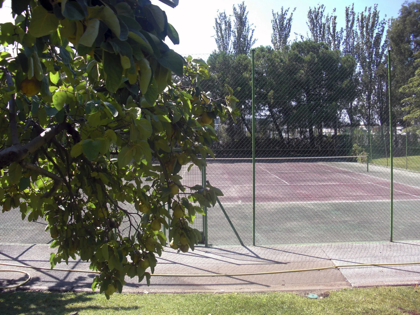 Photo - Gran Hotel Los Angeles