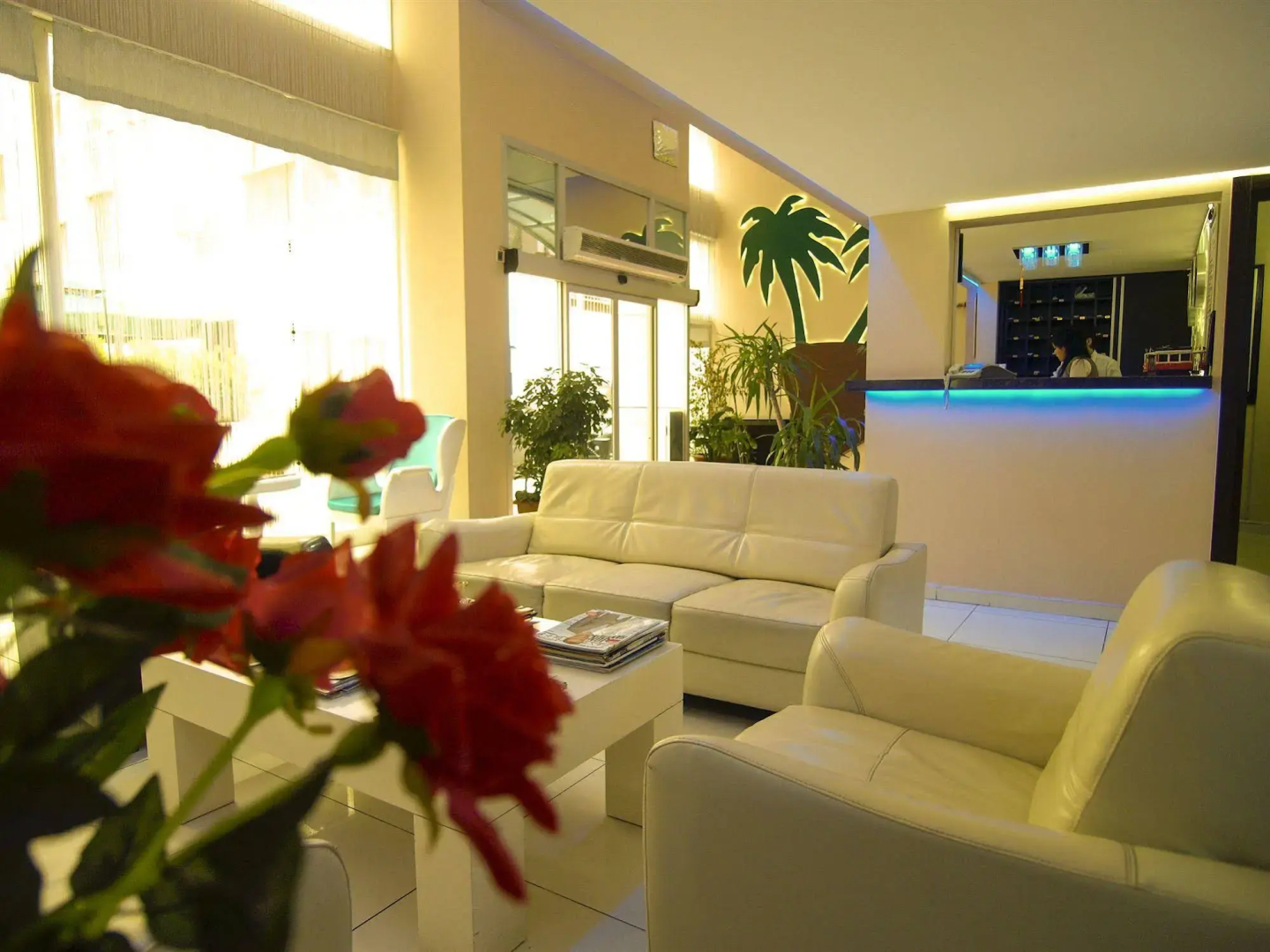 Foto - Hotel Timya