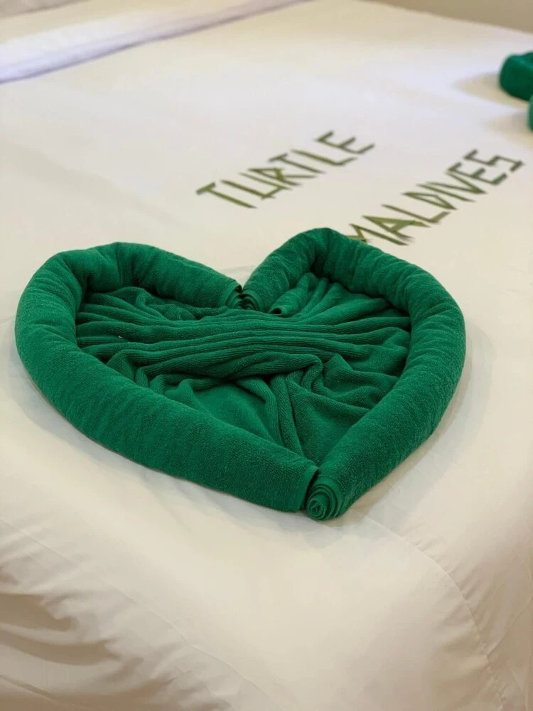 Photo - Turtle Maldives - Your Gateway to the Beach & Marine Adventures Await!