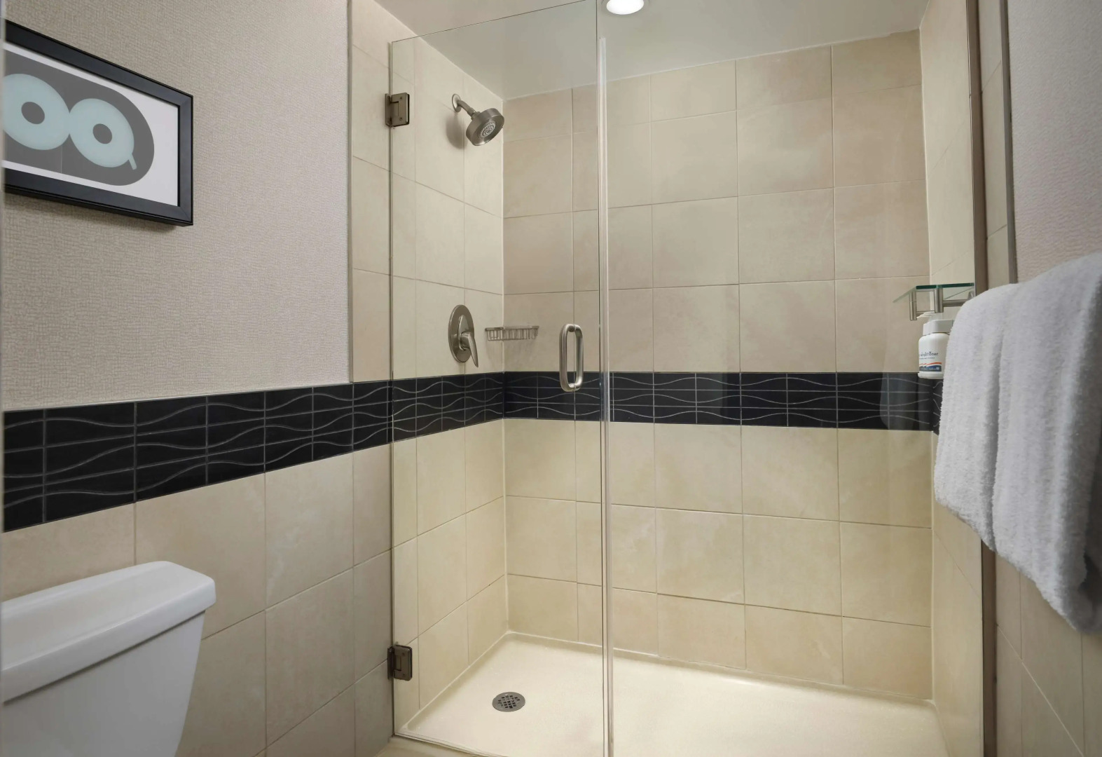 Foto - Sonesta ES Suites Chicago Downtown Magnificent Mile Medical