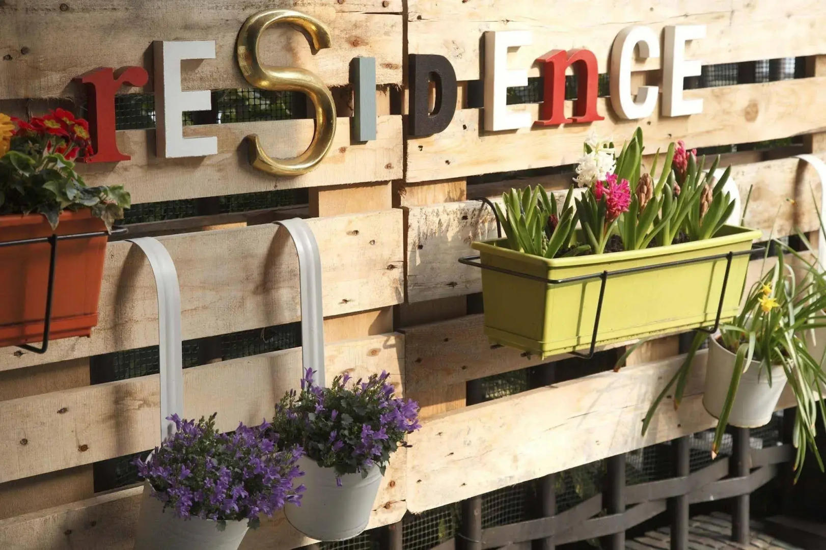 Foto - Residence Pian della Nave