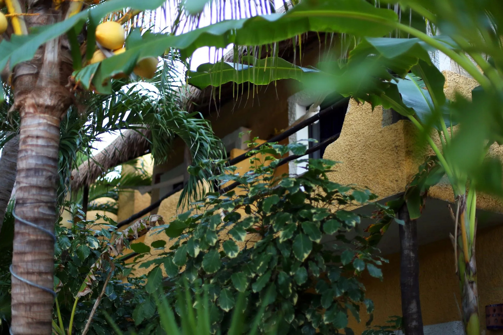 Foto - Hotel Casa Colibri