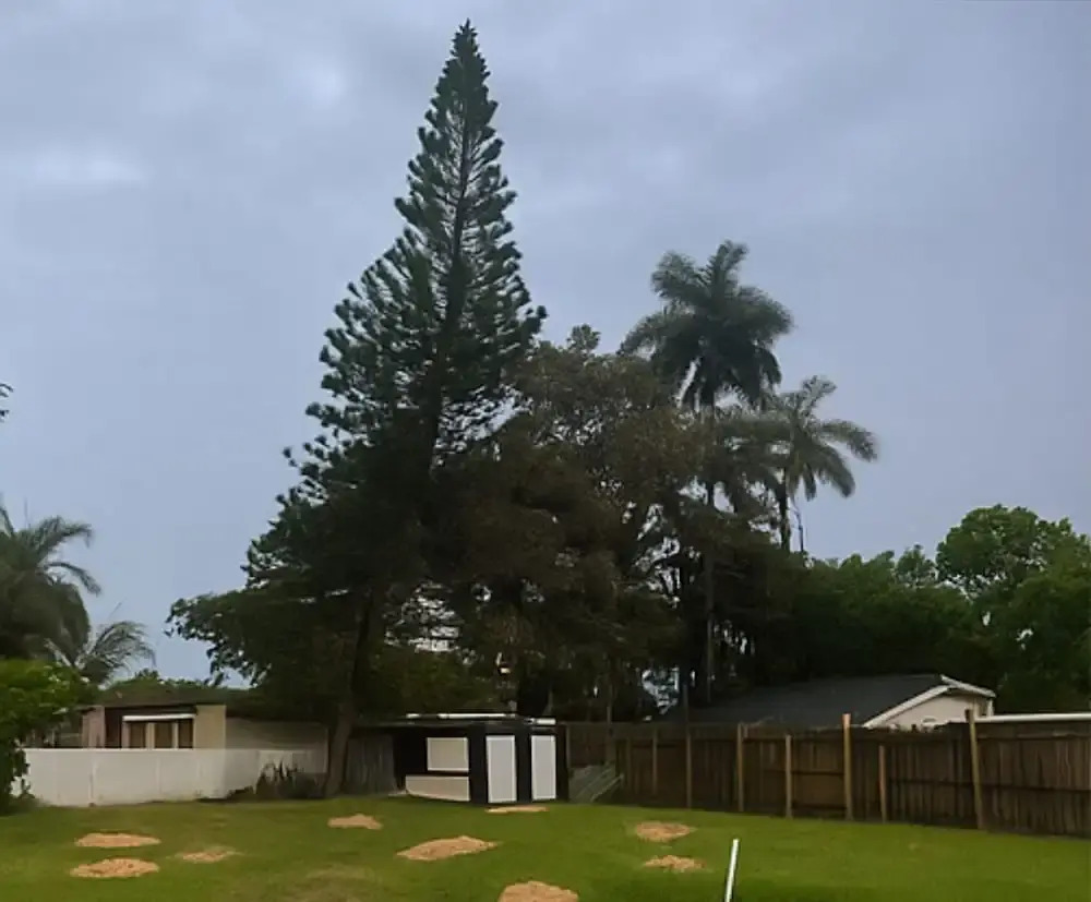 Foto - La sama Wynwood