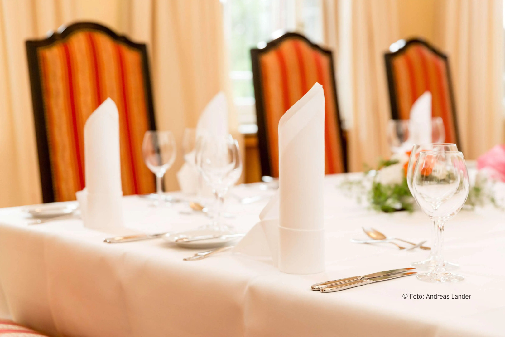 Foto - Dorint Herrenkrug Parkhotel Magdeburg